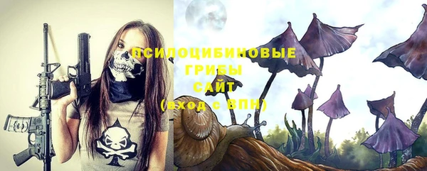 сатива Алексеевка